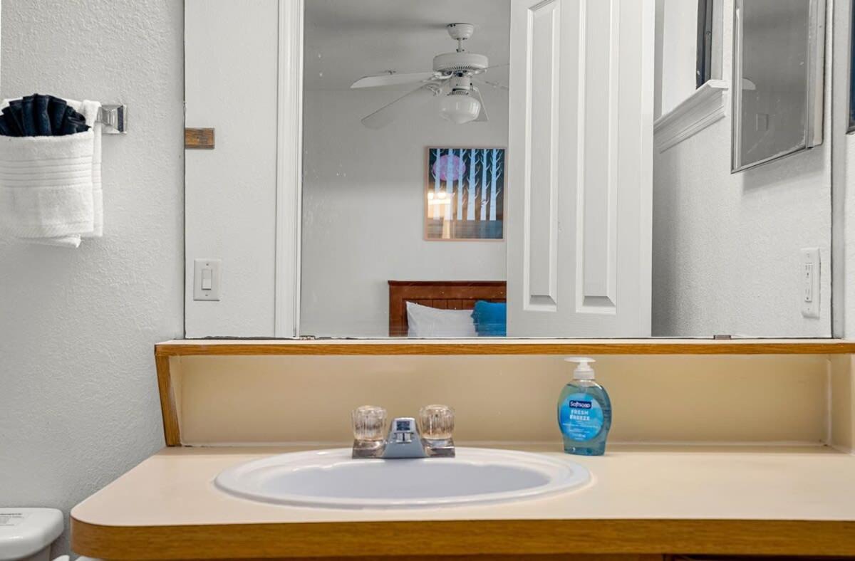 Villa 4Bd 2 Mi To Usf Free Pool + 24 Hour Gym Tampa Exterior foto